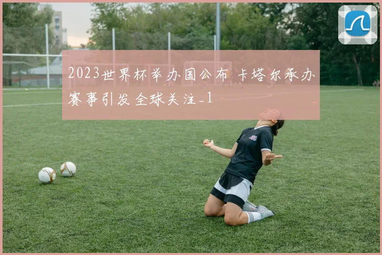 2023世界杯举办国公布 卡塔尔承办赛事引发全球关注_1