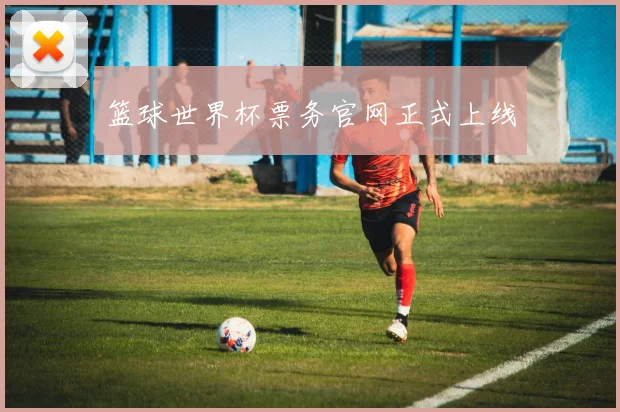 篮球世界杯票务官网正式上线