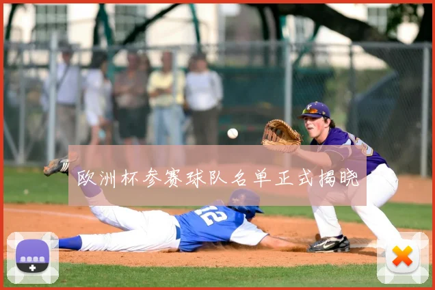 欧洲杯参赛球队名单正式揭晓